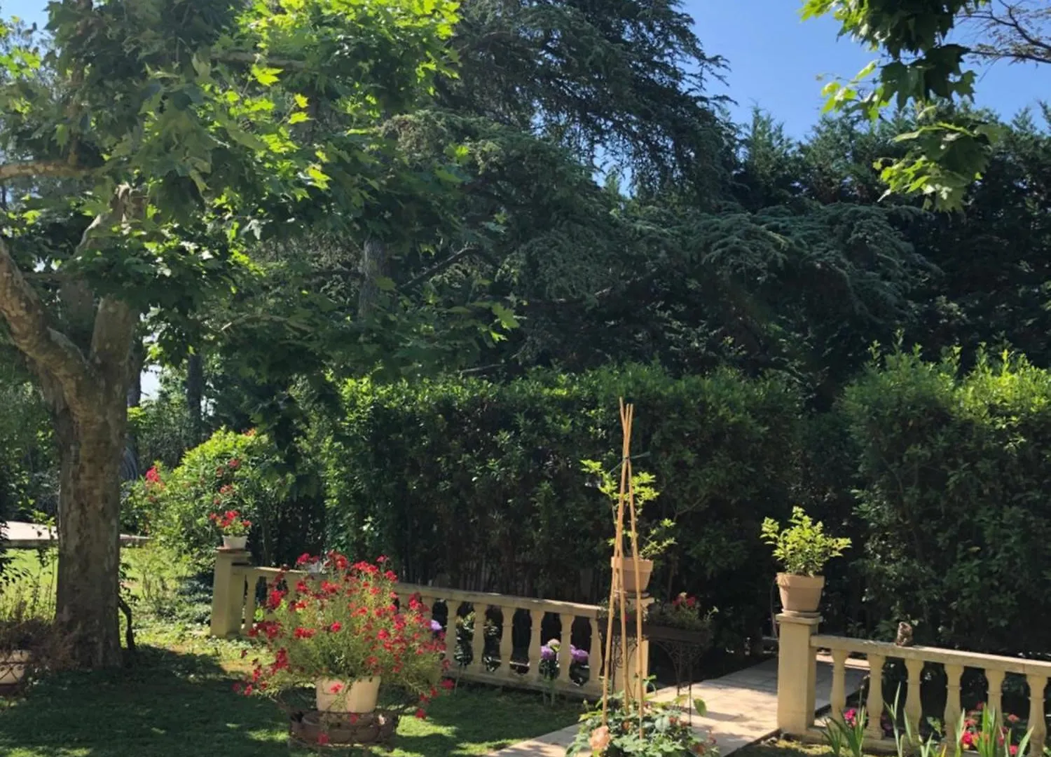 Villa Les Cedres Aix-en-Provence France